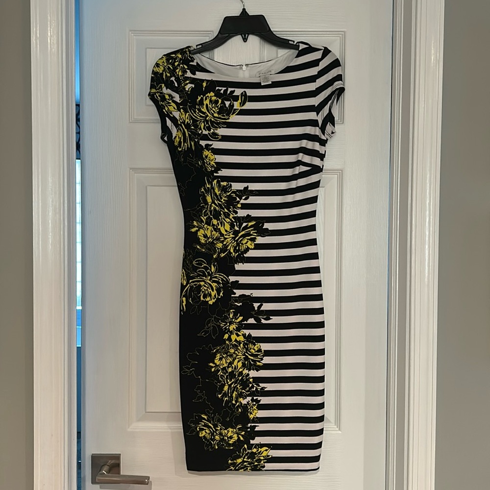 NWOT Cache dress